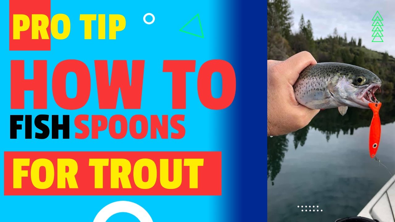 Tips For Trout Fishing With Spoons 