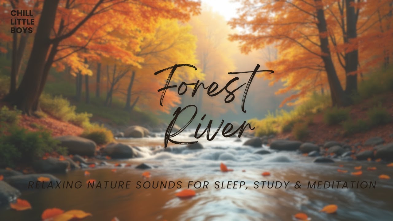 🍂 Forest River Ambience in Autumn – Relaxing Nature Sounds for Sleep ...