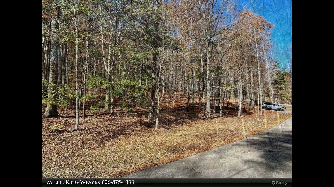 Lake Cumberland Real Estate Professionals Lot 11 Haynes Knob Rd YouTube