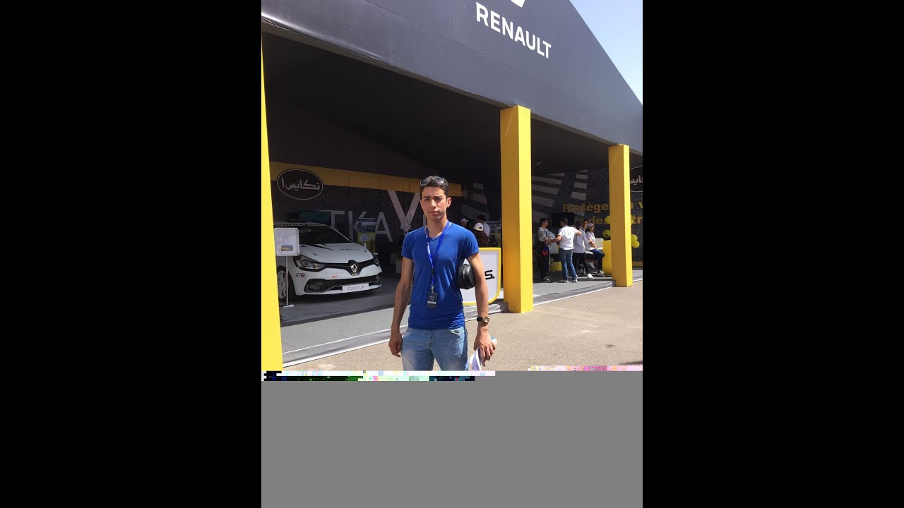 МОЙ ОПЫТ С АВТОМОБИЛЬНЫМ СЕКТОРОМ RENAULT .