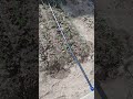 Капельный полив...