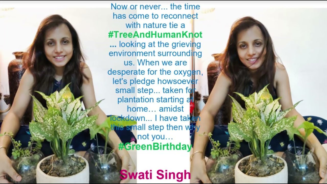 TreeAndHumanKnot - Global Sustainability Movement