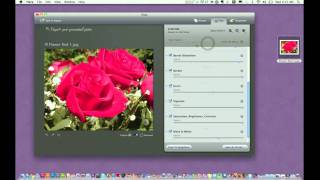 Mac Photo Application "Flare" Full Review screenshot 2