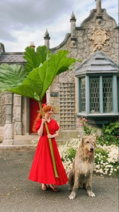 living my best Arrietty life #ghibli #studioghibli #arrietty