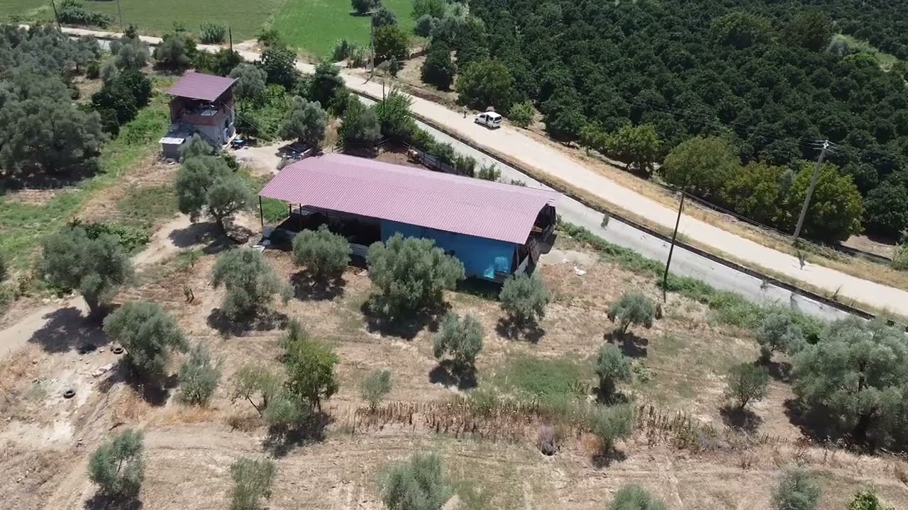 ✅✅ DURASILLI’DA 7.566 M2 ZEYTİN VE PORTAKALLIK ✅✅