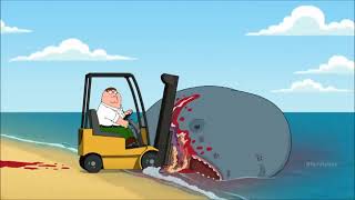 Family Guy Your Whale