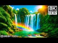 REAL 8K HDR Dolby Vision™ – A Visual Experience Beyond Belief (Perfect for 4K/8K TV)