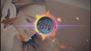 Chiri Delu Fadi Delu - (SBP Roadshow Dance Mix) DJ SK DJ Lilu