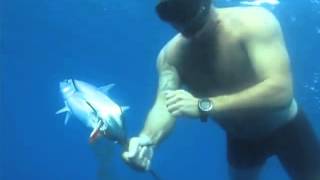 Species Identification - Skipjack Tuna