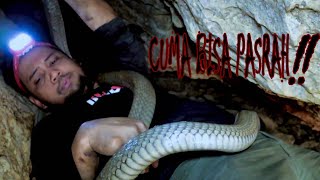 STUCK IN A NARROW KING COBRA CAVE! | THE ADVENTURER OF INDONESIA'S GREAT COLLABORATION