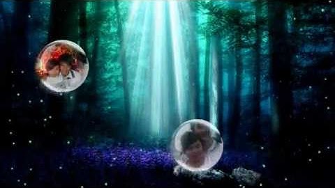 Xin Anh Dung   proshowvn.net.flv