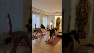 Корпоративная йога. #корпоративнаякультура #меркаба #хатхайога #практика #асана
