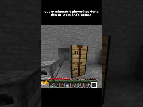 #minecraft #gaming #unbelievable