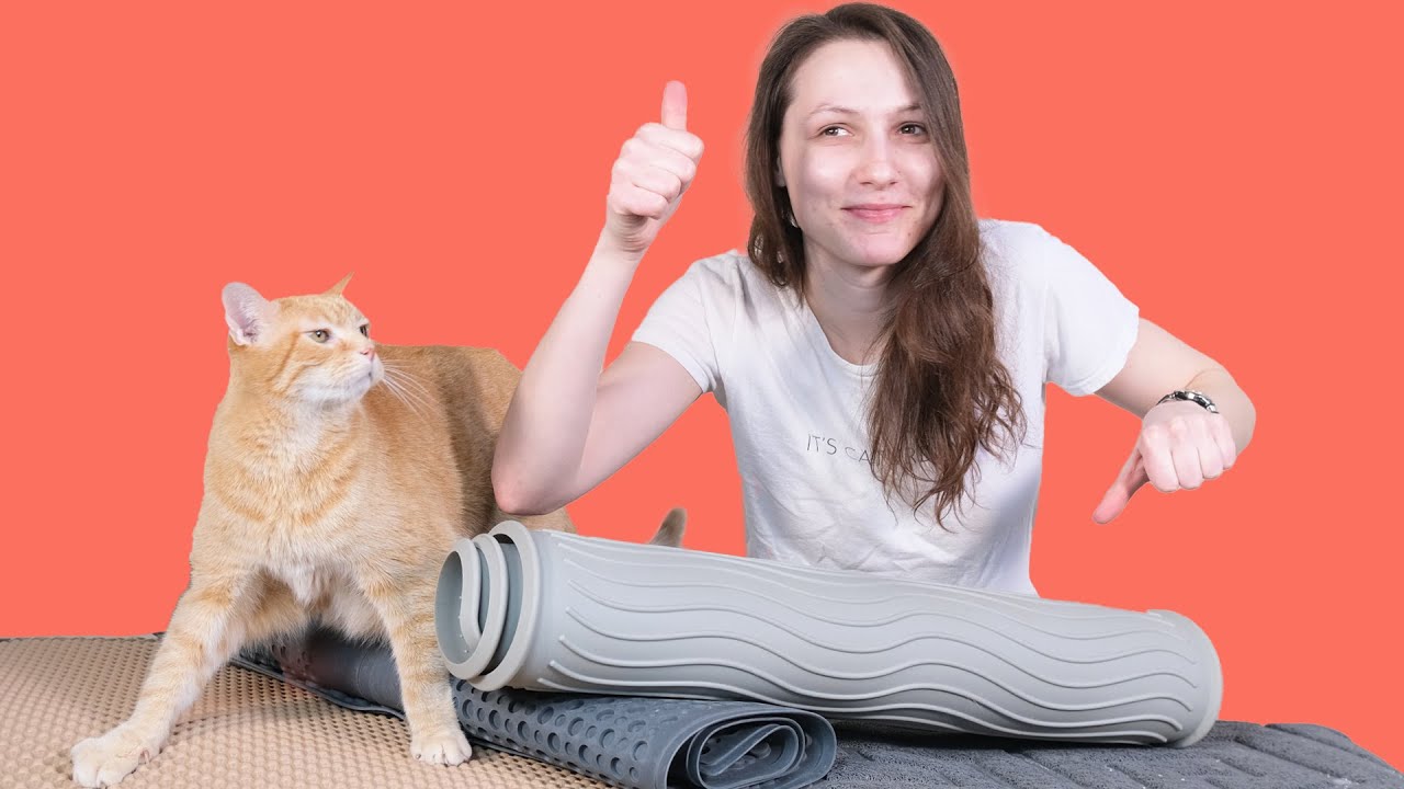 Top 5 Best Cat Litter Mats (We Tested Them) 