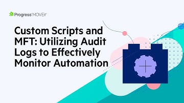 Custom Scripts and MFT: Utilizing Audit Logs to Effectively Monitor Automation