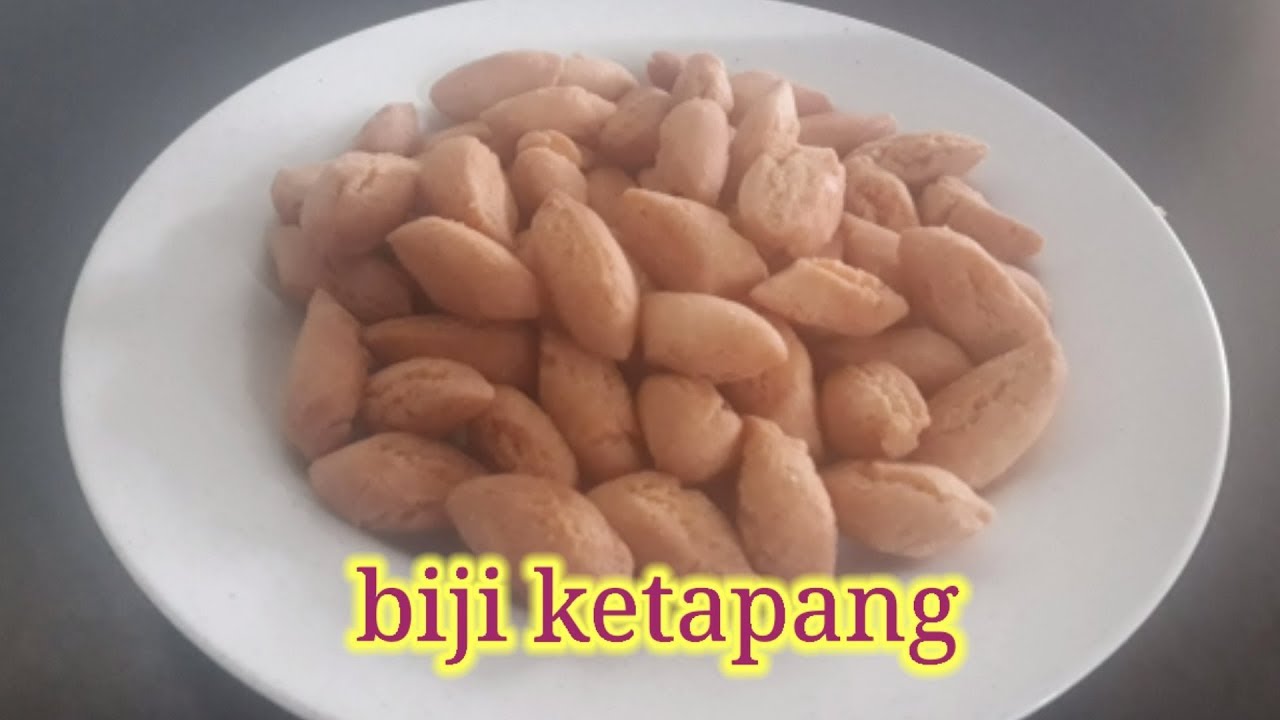  BIJI  KETAPANG TANPA KELAPA  PARUT part 1 YouTube