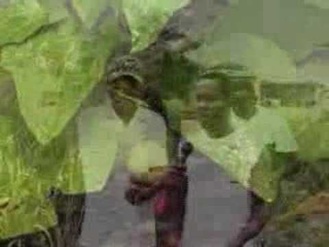 Food for Work Program - YouTube