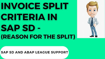 Invoice split criteria in SAP SD (Reason for the split)