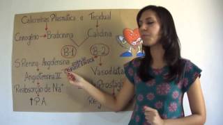 Sistema Calicreína - Cinina