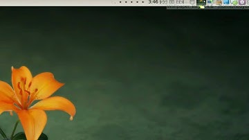 Auto Change Background - Wallpaper Tray - Linux Mint 6