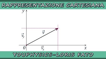 RAPPRESENTAZIONE CARTESIANA DI UN VETTORE