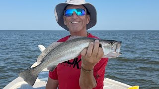 We Found Big Louisiana Speckled Trout!