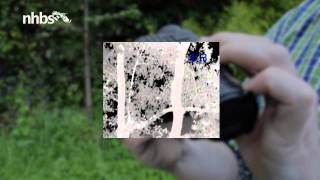 Using a Pulsar Quantum S Series Thermal Imaging Scope