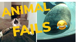 🔥😂 FUNNY ANIMAL COMPILATION FAILS 2020 😂🔥| INSTAGRAM | EPIC FAILS