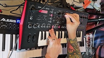 Beef Skeleton - Roland JD-Xi jam