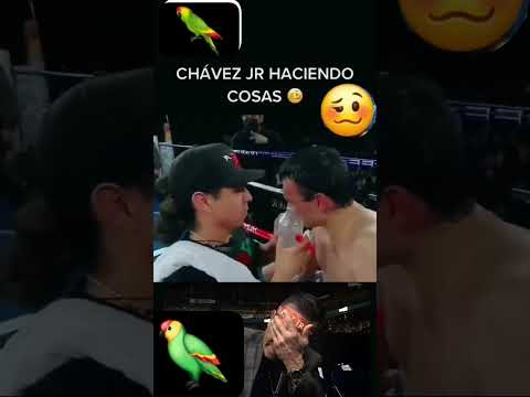 #corridos #upset #boxeo #boxing #trending #knockout #viral #parati #haha #canelo #chavez#juliocesar