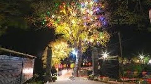 Lễ Hội Đền Vạn Cửa Rào ( về đêm ) | Khanhtruong channel