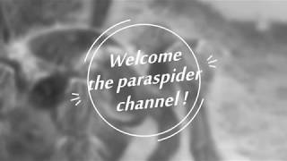 Üdvözöllek a csatornámon!/Welcome to my channel!
