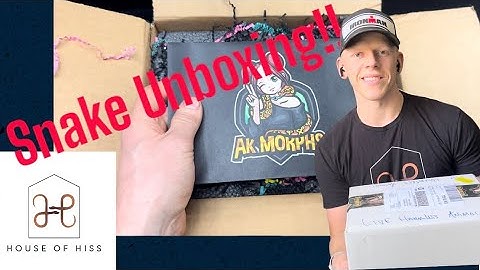 Snake unboxing! Could this be the hottest new ball python project?