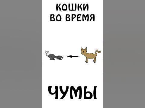 "Кошки во время чумы" #кошки #сэмонелла #шортс #авызналиэто #животные # ...