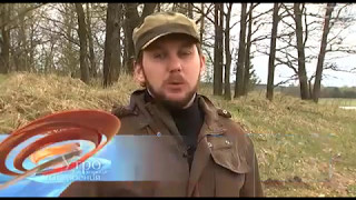 Национальный охотничий брэнд  какой он – наш белорусский гончак