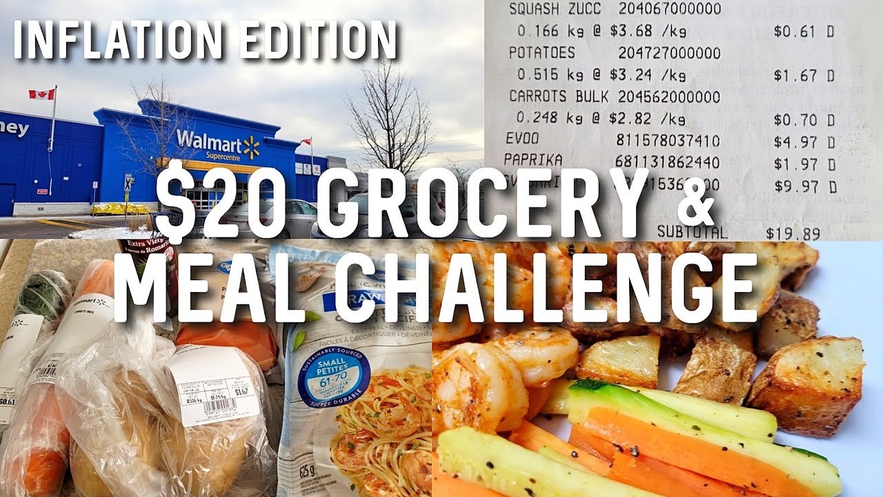 $20 Grocery & Meal Challenge in Toronto | Grocery Budget Challenge 