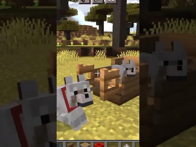 How to make a Sled Dog 🛷 In Minecraft!! #minecraft #fypシ #shorts class=