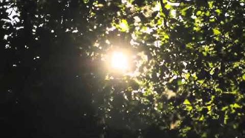 Advent 2013-Day 1: Light in the darkness