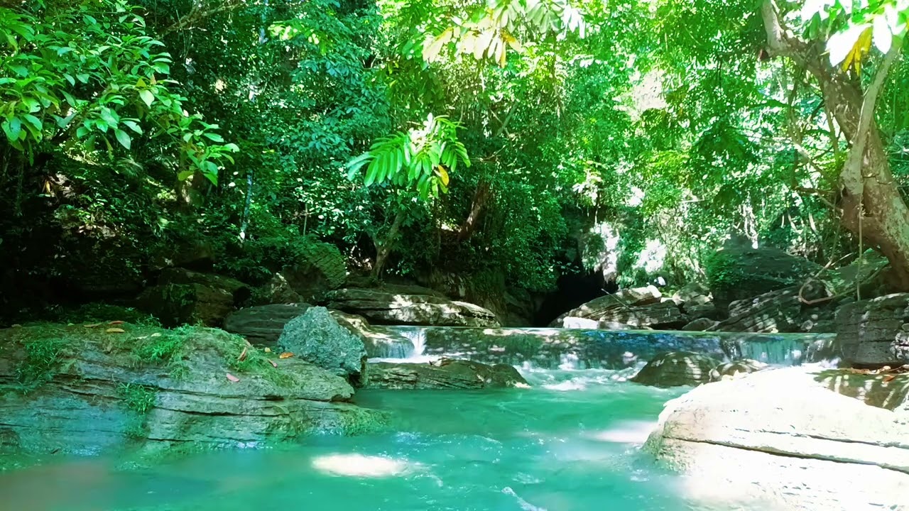 🌲 Healing Nature Stream – Pure Ambient Sounds for Deep Meditation & Study