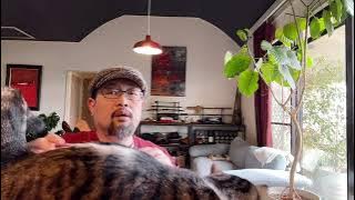 昵称“毛片网”的“毛泽东博览”网被关闭：毛左网站其实也是艰难求生