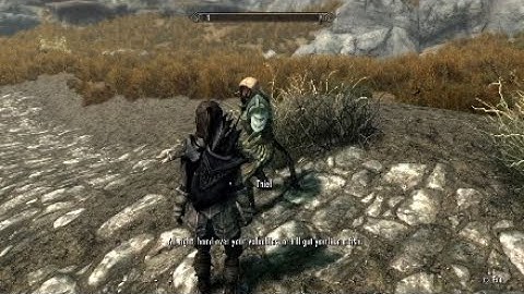 Skyrim | Funny Khajiit Thief (Random Encounter)