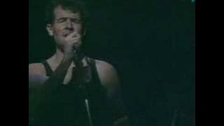 Asimbonanga de Johnny Clegg & Savuka