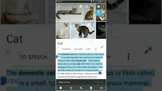New features to the Wikipedia Android Application