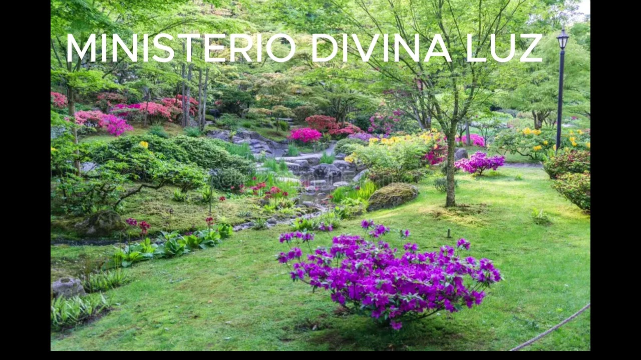 VAMOS A ALABAR AL REY