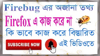 How To Use Firebug For Web Design || Firebug For Web Developer