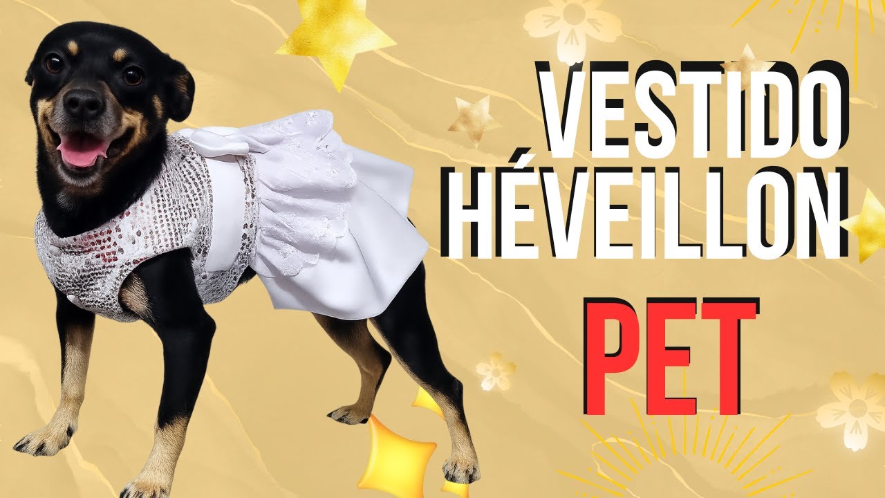 Vestido Pet de Réveillon com Renda Inglesa | Passo a Passo Completo para Pets Arrasarem