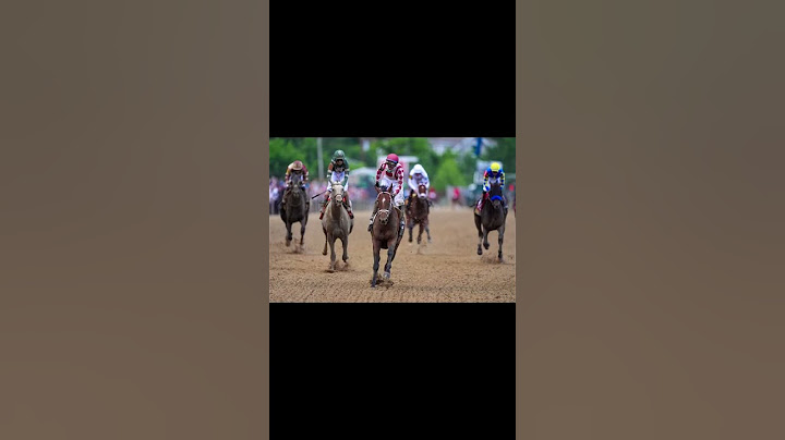 Journalism clinched victory in the 150th Preakness Stakes