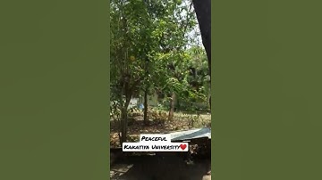 peaceful kakatiya University campus