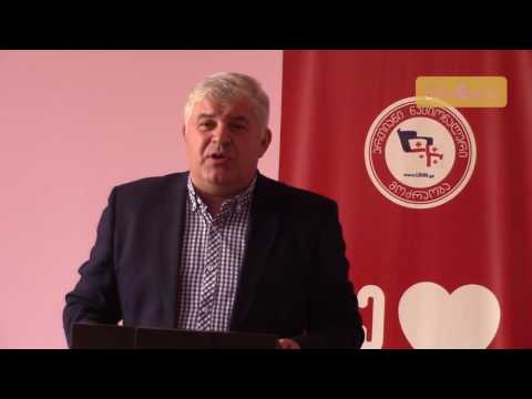 ლაშა დამენია ბრიფინგი