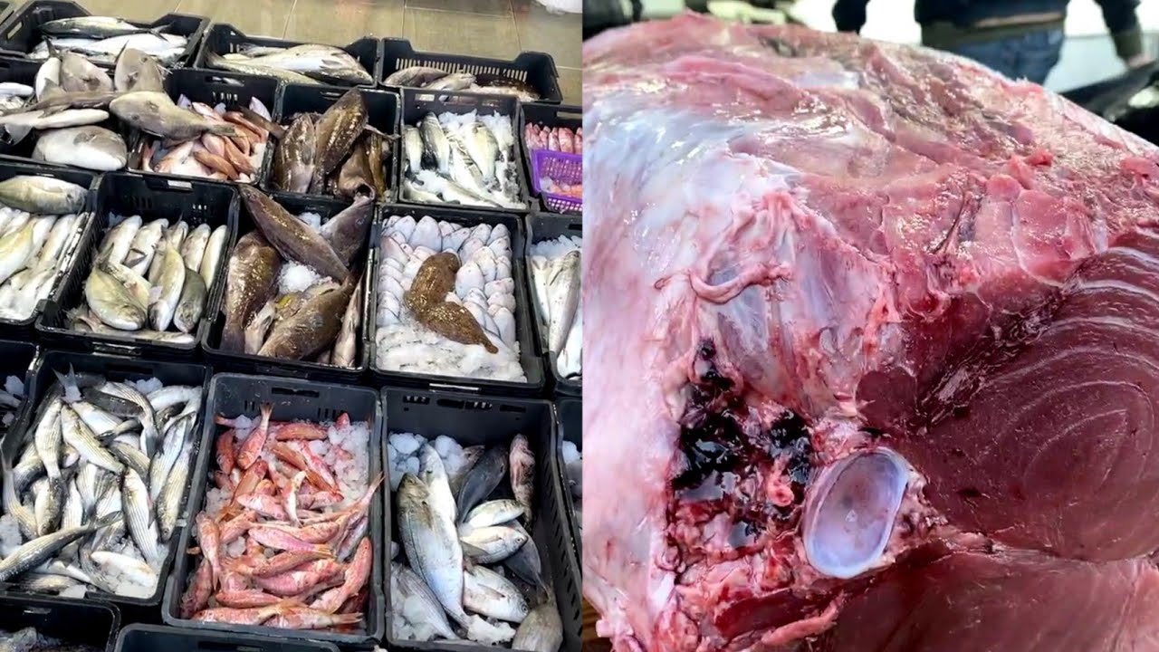 خيرات الأسماك من مسمكة الرايس بطرابلس ليبيا خيرات لا تحصى ما شاء الله كل الأنواع موجودة